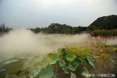 蘆洲煙雨浙江潮